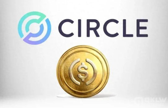 Circle 在IPO前估值约为50亿美圆，USDC表现强劲