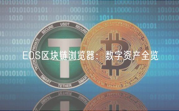 EOS区块链浏览器：数字资产全览