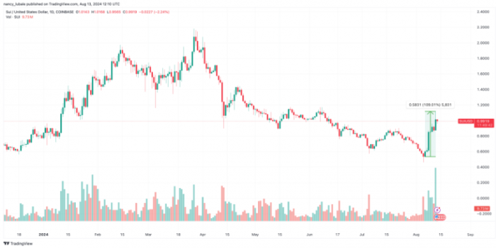 SUI、Zcash 和 Helium 本周表现亮眼，超越比特币