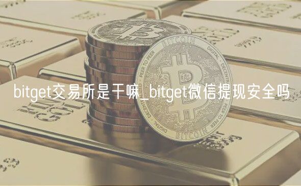 bitget交易所是干嘛_bitget微信提现安全吗