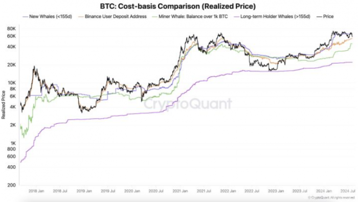 Bitwise 分析：​比特币最新暴跌被视为历史性买入机会