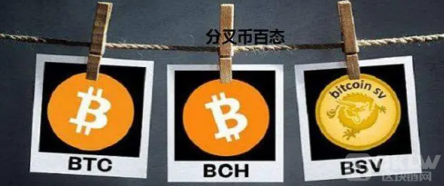 bch币2024年能涨到多少？2024年bch币的预期价格