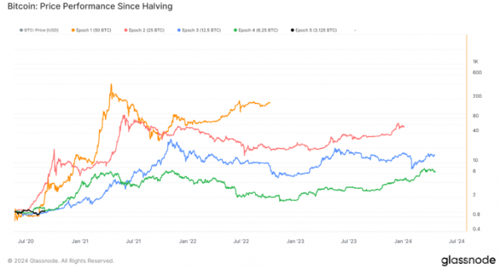 比特币减半效应再现：第五周期价格表现解析