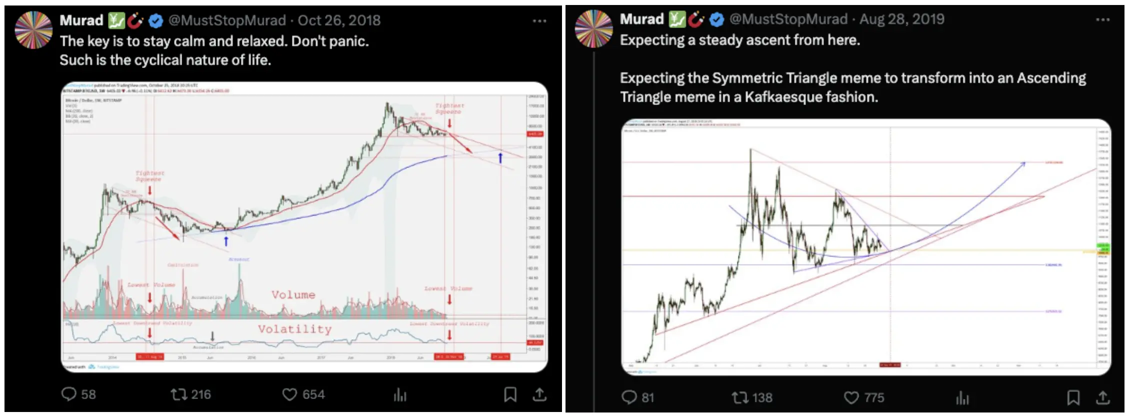 meme币持仓超2400万美元、喊单一呼百应，火出圈的Murad是谁？