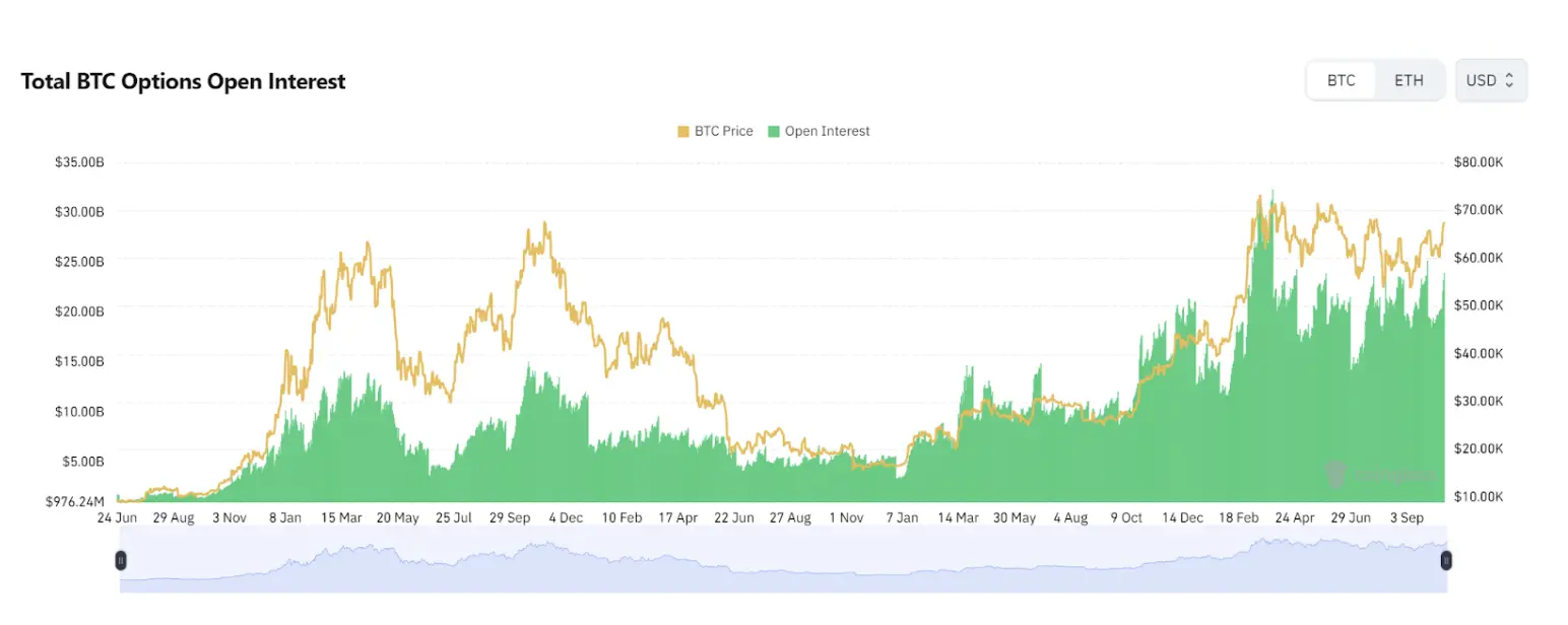 比特币ETF期权获批，下一个价格上涨催化剂？