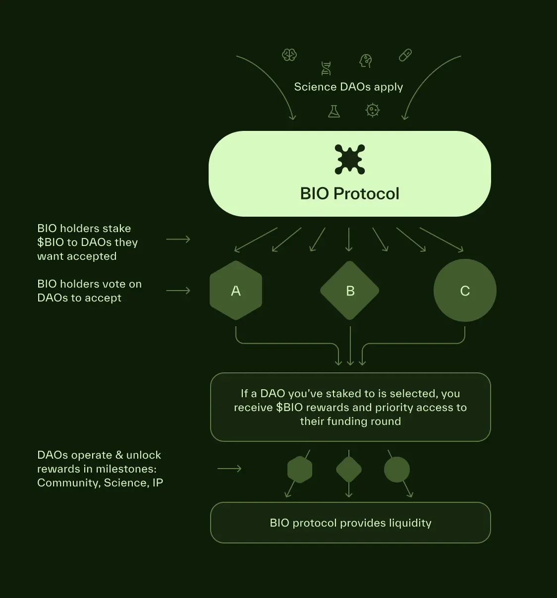 币安第一笔DeSci投资，BIO Protocol凭什么？